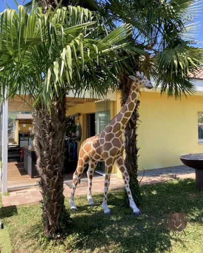 Giraffa XL realistica - Animali in resina realistici