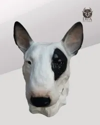 Dieren | Realistisch pitbullhoofdbeeld in hars