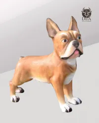 Bouledogue français XXL