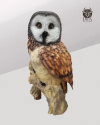 Tiere | Dekorative Harzstatue einer realistischen Eule
