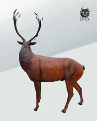 Cerf XXL