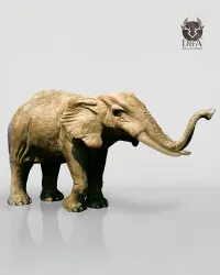 Elefante 3XL con testa eretta - Animale in resina realistico