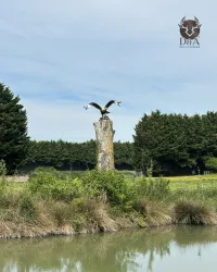 Statue décorative en résine d'un Aigle XXL réaliste