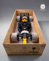 Red Bull Racing Formule 1 set + 2 decoratieve metalen trommels