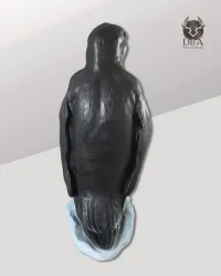 Realistic Penguin - 2