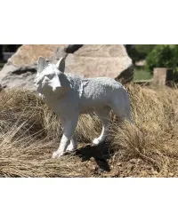 Loup