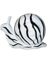 caracol zebra