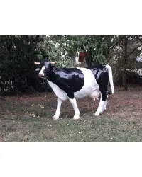 Vaca negra realista de patente