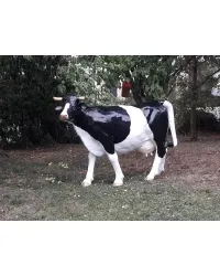Vache Noire Réaliste