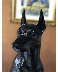 Dobermann assis