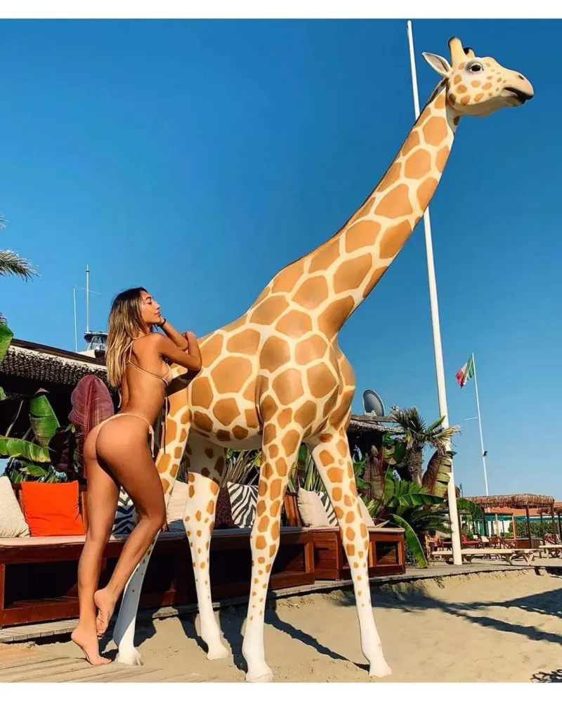 Girafe Grandeur Nature réaliste, résistant au gel, à la pluie et aux UV du soleil. Girafe Grandeur Nature réaliste, résistant au gel, à la pluie et aux UV du soleil.