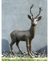 Cerf debout