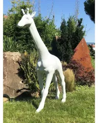 Girafe M