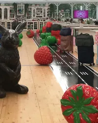 Erdbeere XL