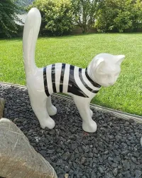 gato marinero