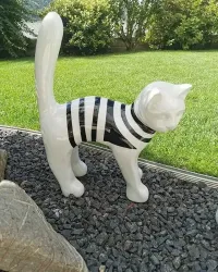Chat MARIN