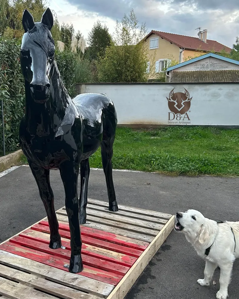 Bride De Cheval Rembourrée Rodrigo Pessoa - Taille Réelle, Marron Foncé, Neuve