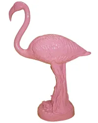 Flamant Rose debout