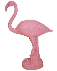 Staande roze flamingo