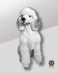 Realistic Sitting Poodle