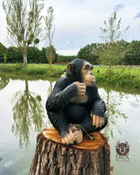 Macaco sentado realista