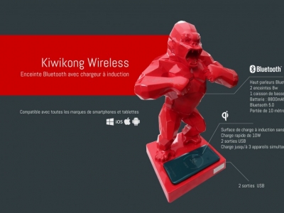 Partnership with Richard Orlinski and the company KiwiBox