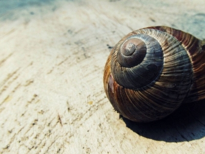 La collection d’escargots en résine de chez Déco & Artisanat 